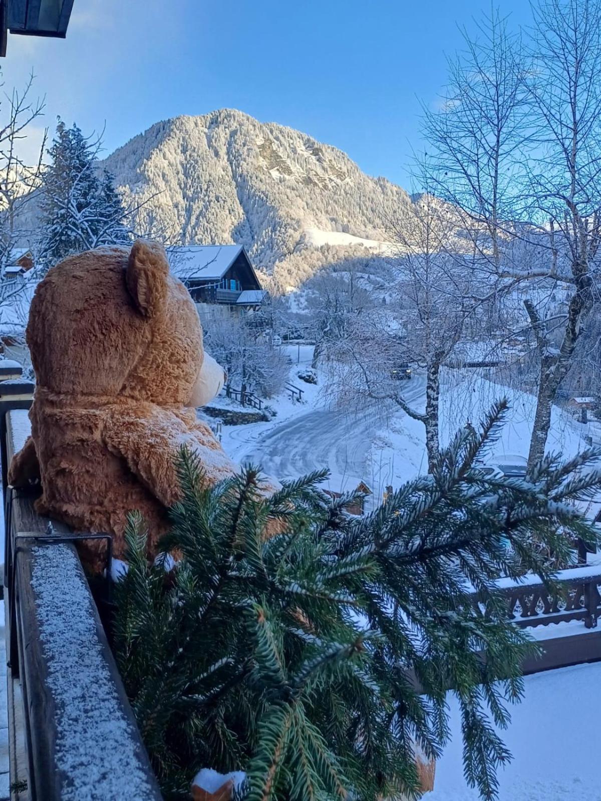 Chalet Appart'Hotel L'Eau Vive Saint-Nicolas-la-Chapelle  Dış mekan fotoğraf